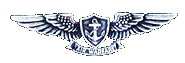 Enlisted Aviation Warfare Specialist