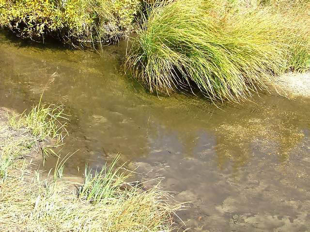 Autumn-in-Colorado-2007-011