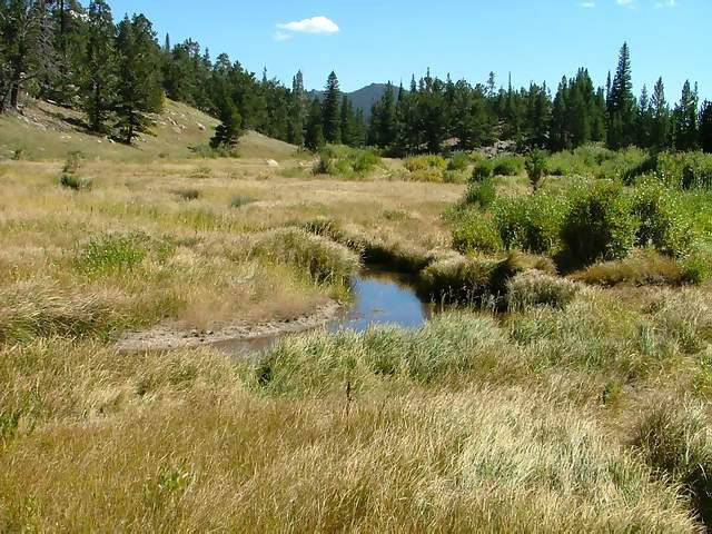 Autumn-in-Colorado-2007-012