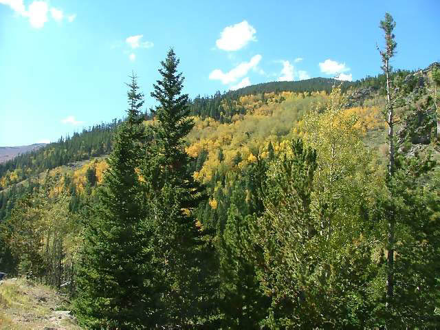 Autumn-in-Colorado-2007-043