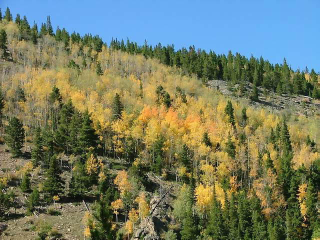 Autumn-in-Colorado-2007-045