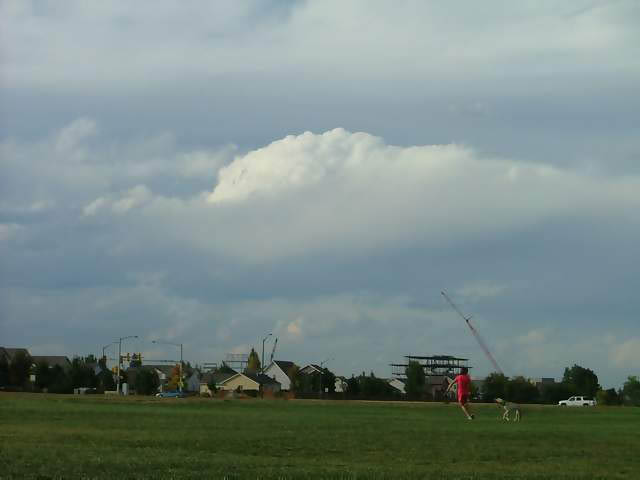 Autumn-in-Colorado-2007-051