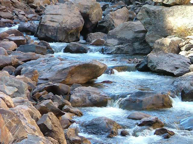 Autumn-in-Colorado-2007-070