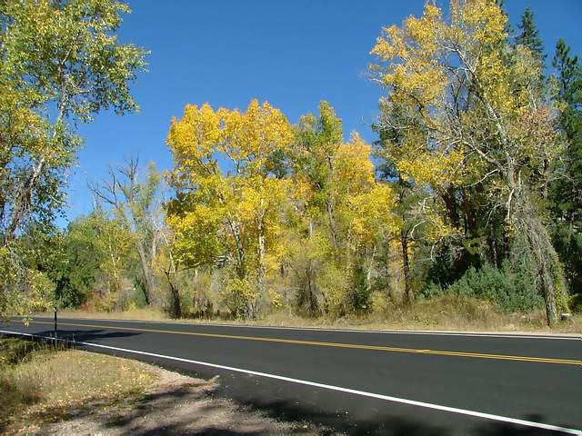 Autumn-in-Colorado-2007-083