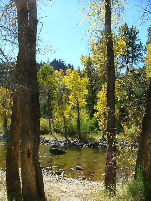 Autumn-in-Colorado-2007-084