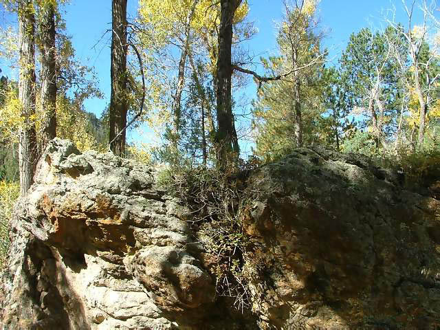 Autumn-in-Colorado-2007-088
