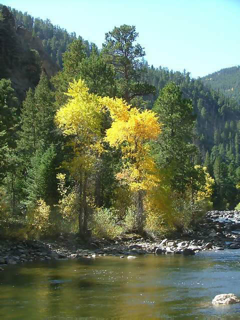 Autumn-in-Colorado-2007-089