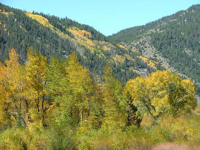 Autumn-in-Colorado-2007-098
