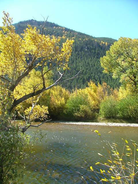 Autumn-in-Colorado-2007-101