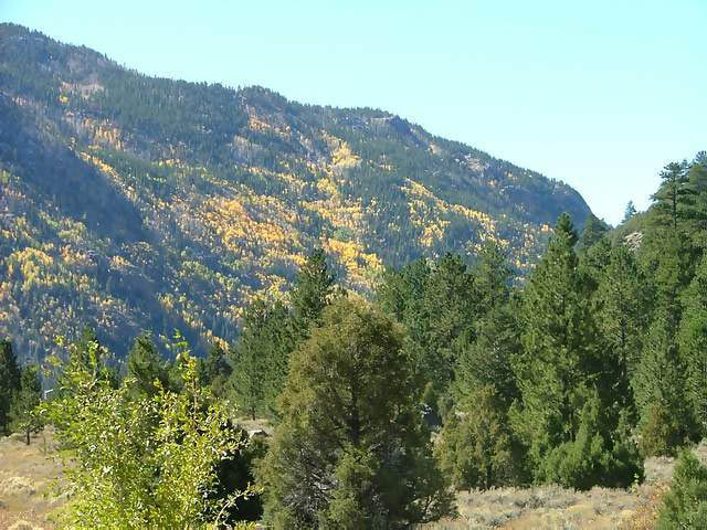 Autumn-in-Colorado-2007-108