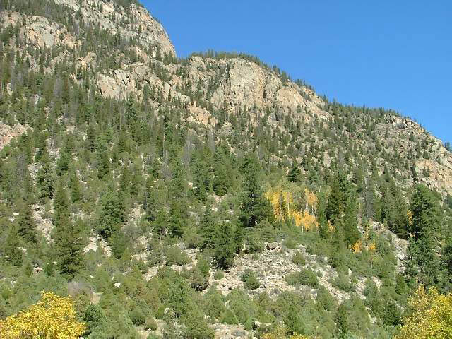 Autumn-in-Colorado-2007-109