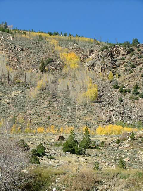 Autumn-in-Colorado-2007-123