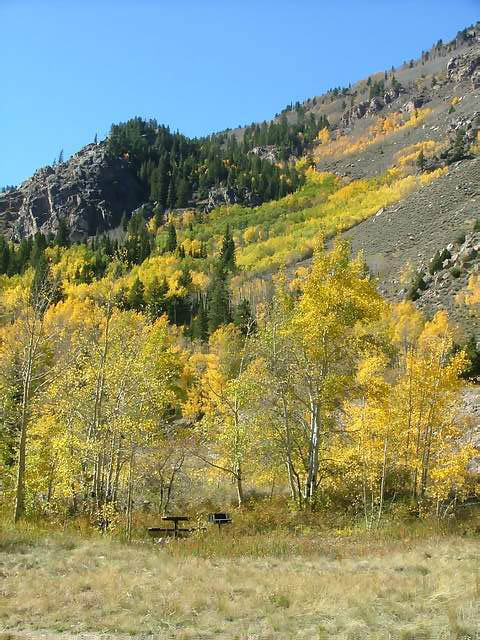 Autumn-in-Colorado-2007-124