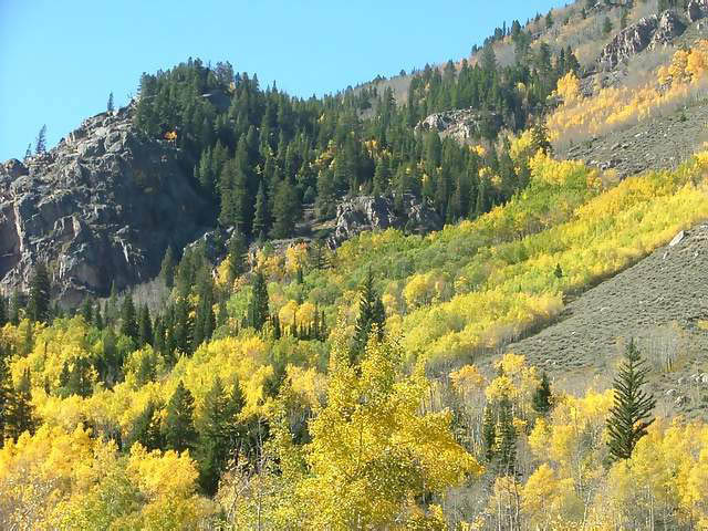Autumn-in-Colorado-2007-126