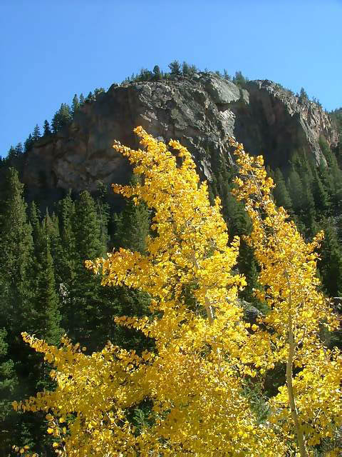 Autumn-in-Colorado-2007-128