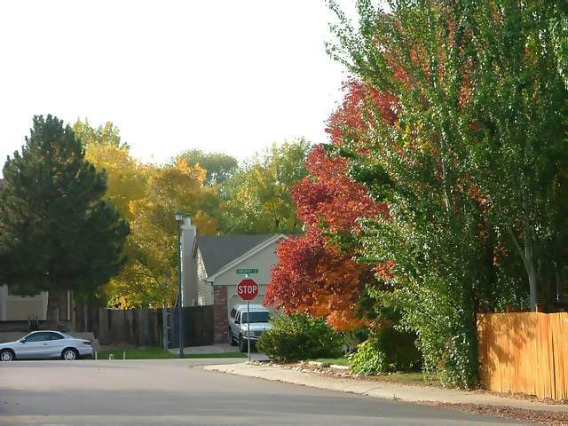 Autumn-in-Colorado-2007-136