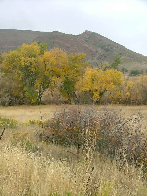 Autumn-in-Colorado-2007-142