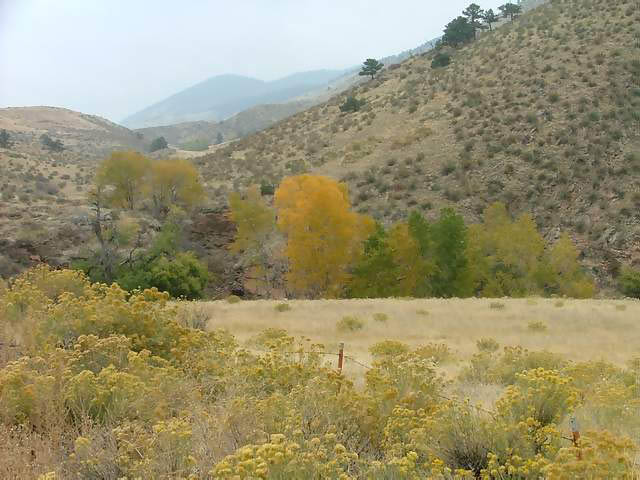 Autumn-in-Colorado-2007-145