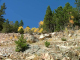Autumn-in-Colorado-2007-111